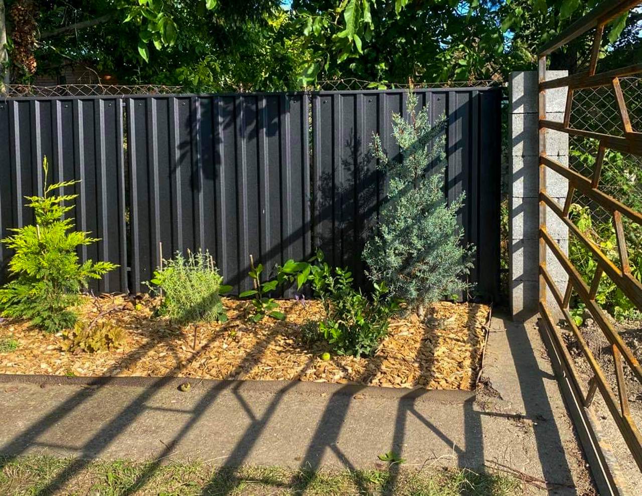 Antracit trapézlemez kerítés közeli nézet növényekkel