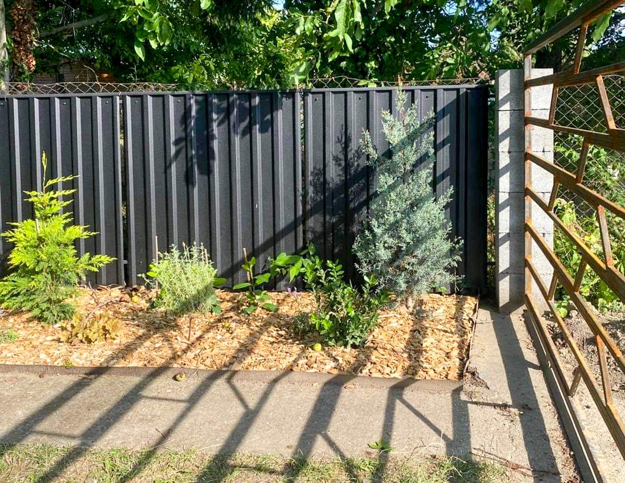 Sötétszürke trapézlemez kerítés virágágyással és mulccsal